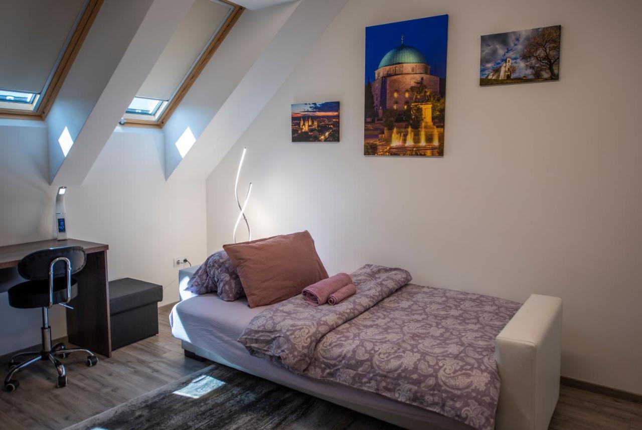 פץ' Zsuka Apartman Free Parking מראה חיצוני תמונה